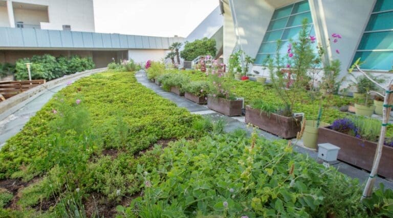 a rooftop garden at the Anaheim Convention Centre in California